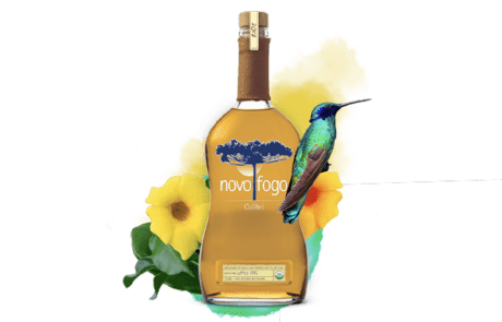 Novo Fogo Calibri with bird and flowers