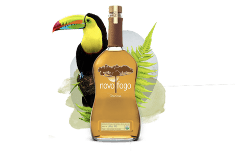 Novo Fogo Graciosa with bird and leaves