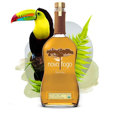 graciosa bottle with tucan and green leaves