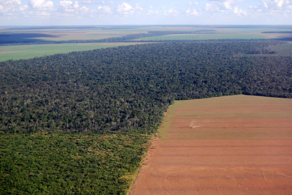 rainforest and cropland from above