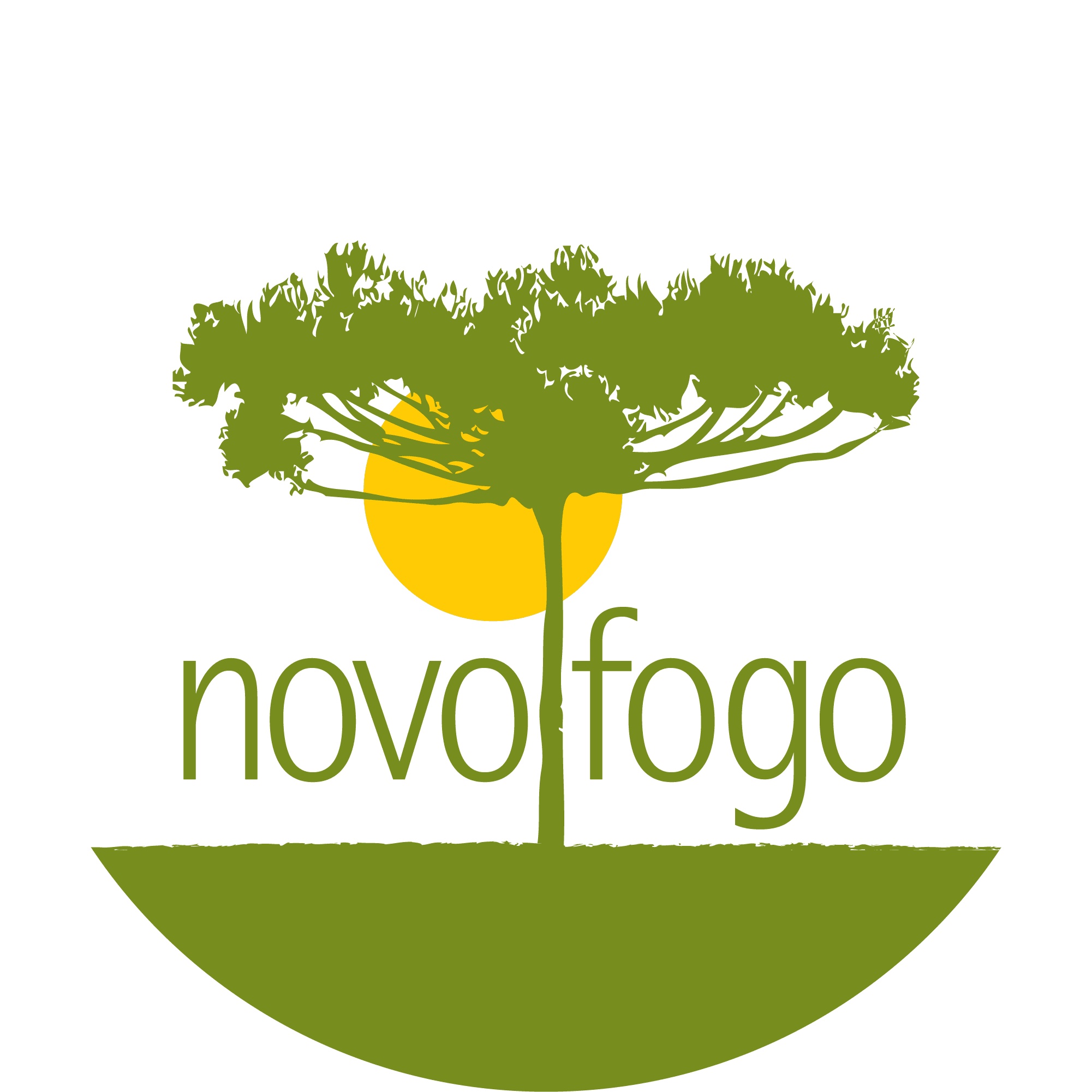 Welcome to Novo Fogo Organic Cachaça - Novo Fogo