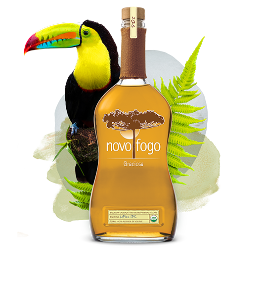 Novo Fogo Graciosa Cachaça bottle