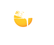 Novo Fogo Logo