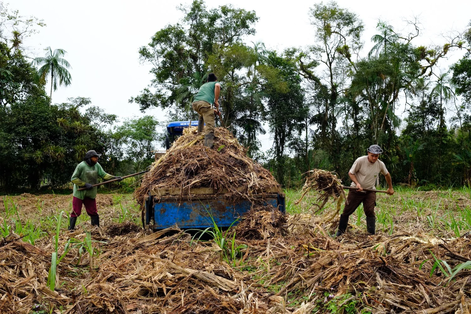 cane-compost Gravity-Fed Distillery