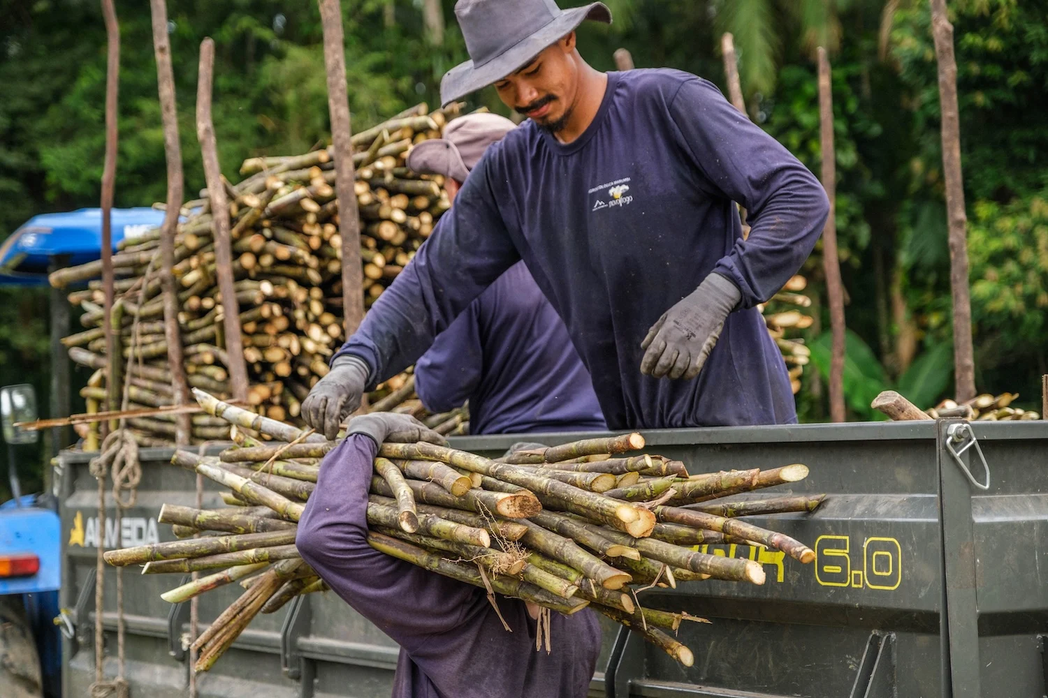 loading-cane